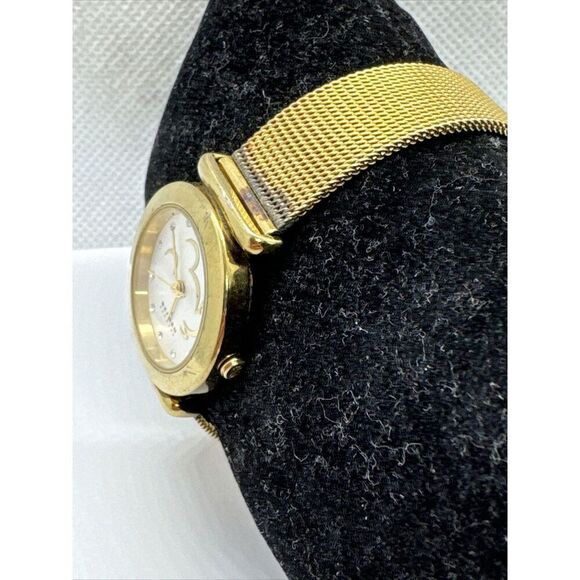 Skagen 107SGGD Women's Gold Tone Stainless Steel Analog Dial Quartz Watch AEA006 - Picture 2 of 11